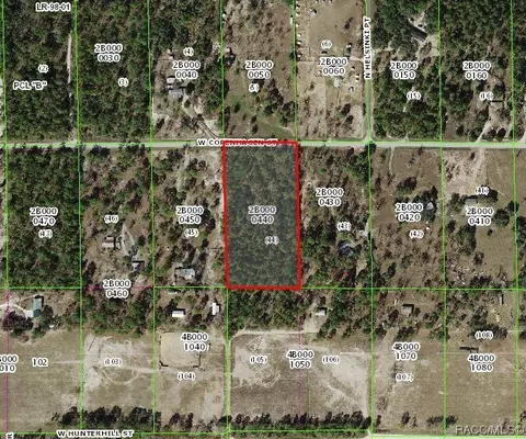 6452 W Copenhagen St, Dunnellon, FL 34433