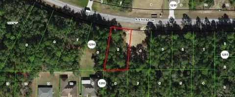 10060 N Athenia Dr, Citrus Springs, FL 34434