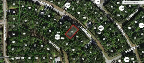 9976 N Athenia Dr, Citrus Springs, FL 34434