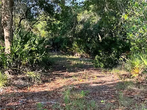 16043 W River Rd, Inglis, FL 34449 photo 12
