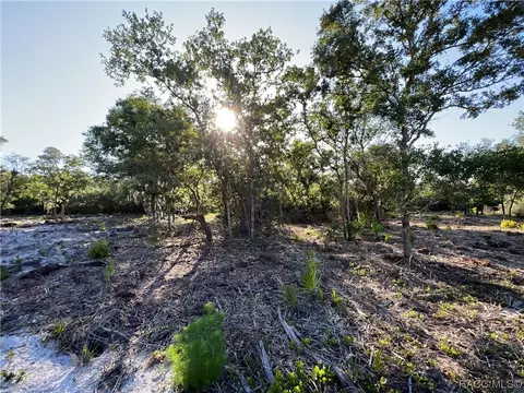 16043 W River Rd, Inglis, FL 34449 photo 25