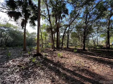 16043 W River Rd, Inglis, FL 34449 photo 9
