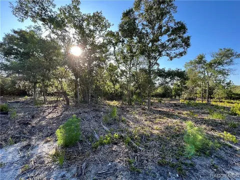 16043 W River Rd, Inglis, FL 34449 photo 28