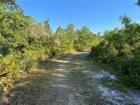 16043 W River Rd, Inglis, FL 34449 photo 32