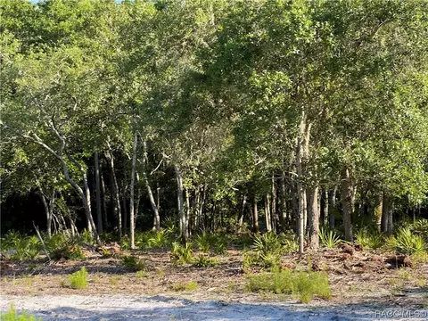 16043 W River Rd, Inglis, FL 34449 photo 10