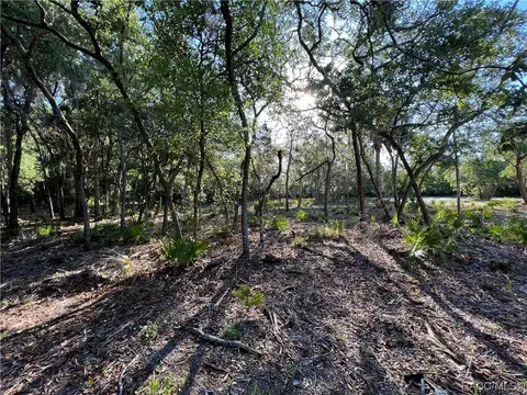 16043 W River Rd, Inglis, FL 34449 photo 8