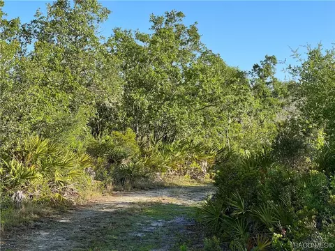 16043 W River Rd, Inglis, FL 34449 photo 31