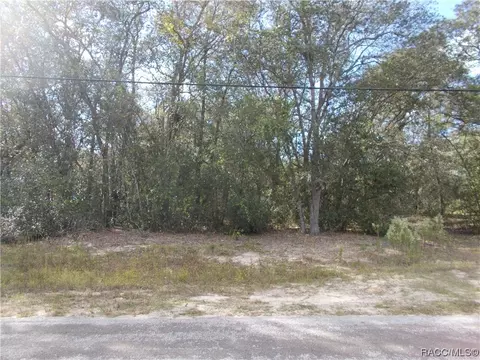 3086 N Eisenhower Ave, Hernando, FL 34442