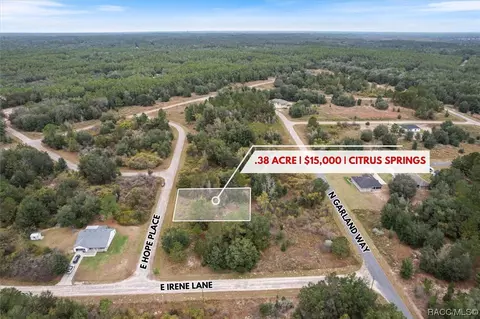 667 E Hope Pl, Citrus Springs, FL 34434