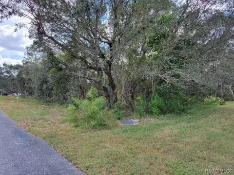20 Black Willow Ct N, Homosassa, FL 34446