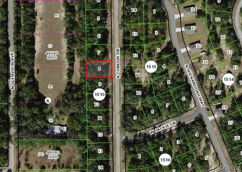 11774 N Condor Dr, Citrus Springs, FL 34433