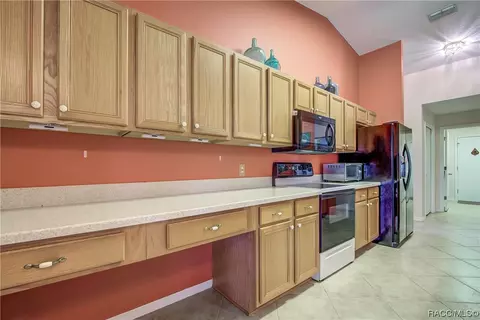 805 E Falconry Ct, Hernando, FL 34442 photo 18