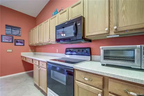 805 E Falconry Ct, Hernando, FL 34442 photo 20