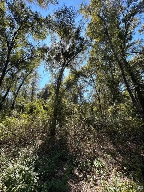 3050 E Barn Owl Path, Hernando, FL 34442 photo 22
