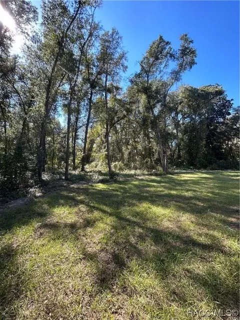 3050 E Barn Owl Path, Hernando, FL 34442 photo 24