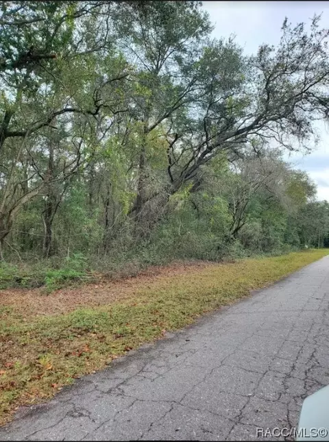 7879 N Vince Dr, Citrus Springs, FL 34434