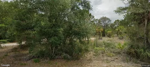12580 W Baltic Ivy St, Crystal River, FL 34428
