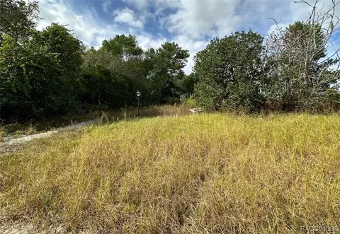 1294 S Pinellas Pt, Inverness, FL 34452