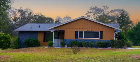 12355 S Brierwood Pt, Floral City, FL 34436
