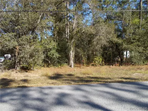 1401 E Bismark St, Hernando, FL 34442
