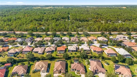 View/Area - 1578 N Ridge Meadow Path, Hernando, FL 34442 photo 2 of 7