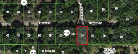 1004 E Noah Ct, Citrus Springs, FL 34434