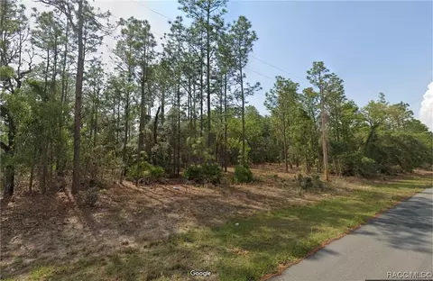 11064 N Trigger Ter, Citrus Springs, FL 34433