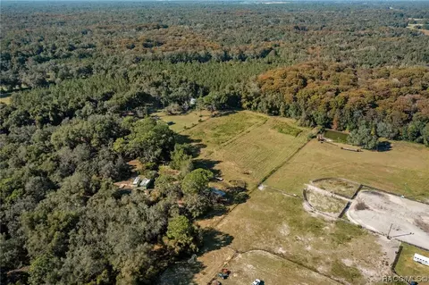 36141 Gresham Rd, Webster, FL 33597 photo 4