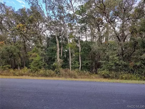 509 W Liberty St, Hernando, FL 34442 photo 1
