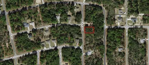 7014 N Maltese Dr, Citrus Springs, FL 34433