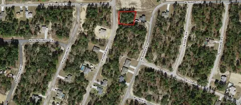 9921 N Dana Way, Citrus Springs, FL 34433