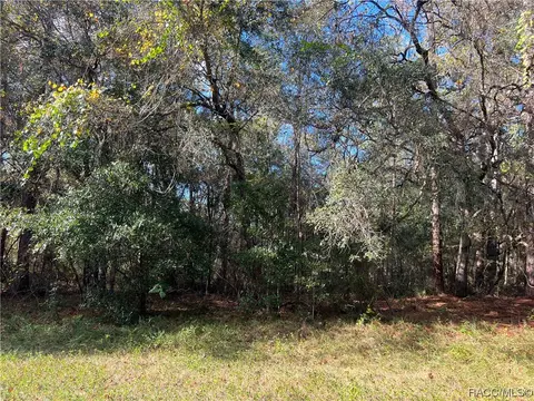 685 W Pitler Pl, Citrus Springs, FL 34434