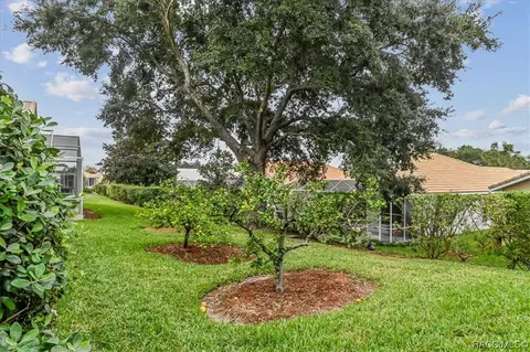 Exterior - 865 W Silver Meadow Loop, Hernando, FL 34442 photo 11 of 19