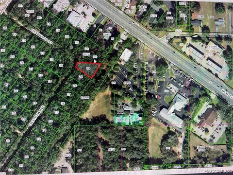 208 N Crestview Ave, Inverness, FL 34452