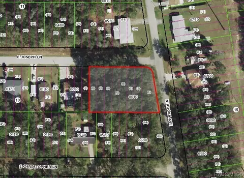 3118 E Joseph Ln, Inverness, FL 34453