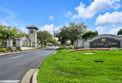 797 E Ireland Ct, Hernando, FL 34442 photo 51