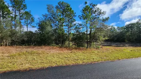 9115 N Abaco Way, Citrus Springs, FL 34433