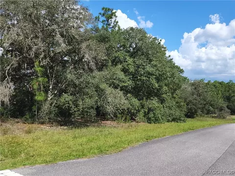 9127 N Abaco Way, Citrus Springs, FL 34433
