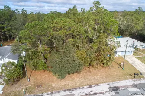 3355 W Marie Dr, Citrus Springs, FL 34433