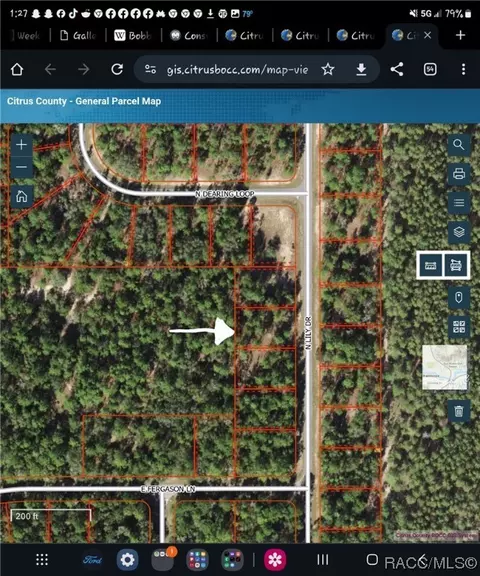 9574 N Lily Dr, Dunnellon, FL 34434