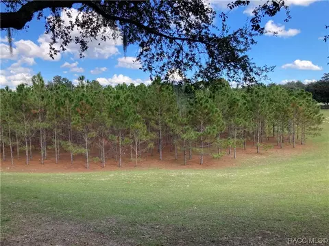 1610 W Spring Meadow Loop, Lecanto, FL 34461 photo 25