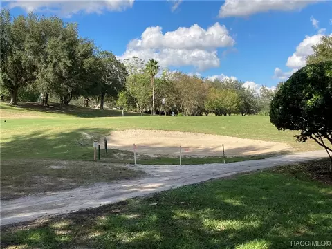 1610 W Spring Meadow Loop, Lecanto, FL 34461 photo 33