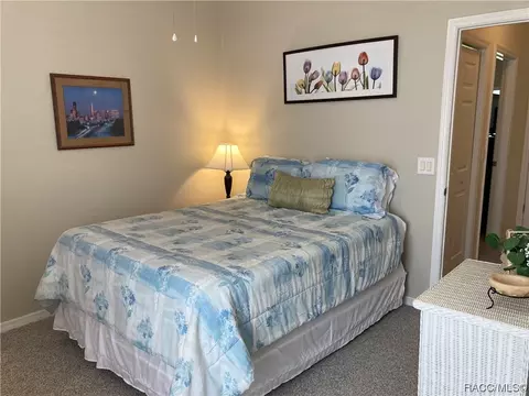 1610 W Spring Meadow Loop, Lecanto, FL 34461 photo 19