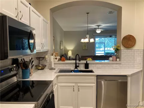 1610 W Spring Meadow Loop, Lecanto, FL 34461 photo 9