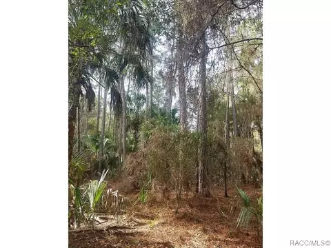 10797 W Watergate Ln, Crystal River, FL 34428