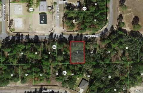 7050 N Maltese Dr, Citrus Springs, FL 34433