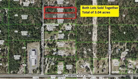 65156531 S Premiere Ave, Homosassa, FL 34448