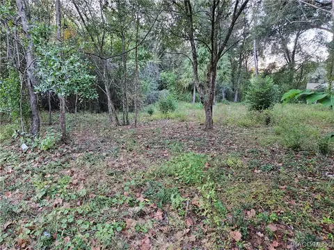 7050 N Golden Pt, Hernando, FL 34442 photo 13