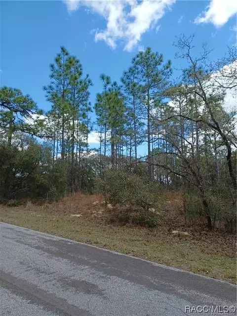 3541 E Getty Ln, Hernando, FL 34442 photo 5