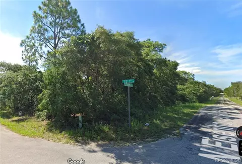 3541 E Getty Ln, Hernando, FL 34442 photo 3